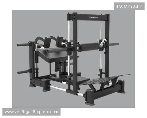 简易健身器材入门指南及高效训练方法